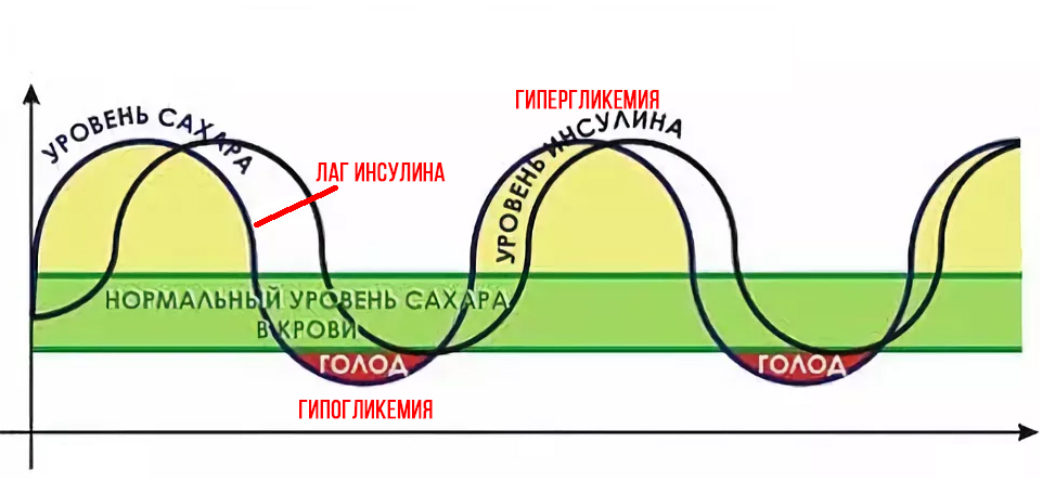 Химия. Инсулин, глюкоза и голод.